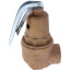 3/4" FNPT x 1" FNPT RVW61 2,536,000 BTU Bronze Hot Water Relief Valve (100 psi)
