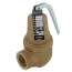 3/4" FNPT x 1" FNPT RVW61 3,879,000 BTU Bronze Hot Water Relief Valve (160 psi)