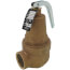1" FNPT x 1-1/4" FNPT RVW61 1,570,000 BTU Bronze Hot Water Relief Valve (30 psi)