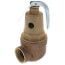 1" FNPT x 1-1/4" FNPT RVW61 2,295,000 BTU Bronze Hot Water Relief Valve (50 psi)