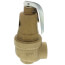 1" FNPT x 1-1/4" FNPT RVW61 6,278,000 BTU Bronze Hot Water Relief Valve (160 psi)