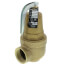 1" FNPT x 1-1/4" FNPT RVW61 6,278,000 BTU Bronze Hot Water Relief Valve (160 psi)