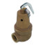 1-1/4" FNPT x 1-1/2" FNPT RVW61 2,716,000 BTU Bronze Hot Water Relief Valve (30 psi)