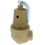 1-1/4" FNPT x 1-1/2" FNPT RVW61 3,969,000 BTU Bronze Hot Water Relief Valve (50 psi)