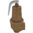 1-1/2" FNPT x 2" FNPT RVW61 3,696,000 BTU Bronze Hot Water Relief Valve (30 psi)