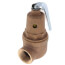 1-1/2" FNPT x 2" FNPT RVW61 5,400,000 BTU Bronze Hot Water Relief Valve (50 psi)