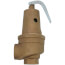 1-1/2" FNPT x 2" FNPT RVW61 7,531,000 BTU Bronze Hot Water Relief Valve (75 psi)