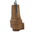 2" FNPT x 2-1/2" FNPT RVW61 6,091,000 BTU Bronze Hot Water Relief Valve (30 psi)