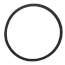 Body Gasket for S69-BF1 Pump