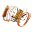 Expansion Valve, 1066650