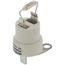 Thermal Fuse, 249F, 1087811