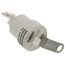 Thermal Fuse, 249F, 1087811