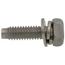 Screw, 109000280