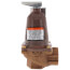 790-50, 1,160,000 BTU Capacity Relief Valve