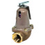 1" 1170-100, 3,060,000 BTU Capacity Relief Valve