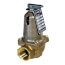 1" 1170-100, 3,060,000 BTU Capacity Relief Valve