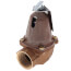 1170-125, 3,735,000 BTU Capacity Relief Valve