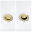 Bathroom Pop-up Stopper Replacement for Pop-up Drain Assemblies (Polished Brass)