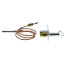 Natural Gas Pilot Assembly w/ Standing Pilot, 110859