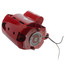 Motor (HV, 2", Obs. 1-1/2", Obs. HV)