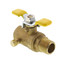 Raven 1/2" Expansion Tank Isolator w/ Waste (Male x Female)