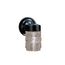 7.75" 1 Light Wall Light (Black)