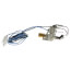 Pilot Assembly & Flame Sensor, 1149856