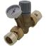 3/4" FNPT ThermoSetter Adjustable Thermal Balancing Valve w/ Inlet Check Valve