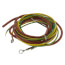 Flame Sensor/Spark Wire Kit, 1171894
