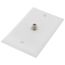 Coaxial Cable Jack Adapter Wall Plate, Thermoset - White