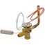 Thermal Expansion Valve Kit, 1183516