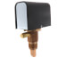 FS7-4, 1-1/4" Flow Switch-Paddle Style