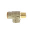 1/2" P1550 MNPT x FNPT Pressure Relief Valve (75 PSI) (Lead Free)