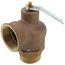 2" MNPT x 2" FNPT RVS12 2,500 LBS/HR Capacity Low Pressure Relief Valve (15 psi)