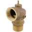 2-1/2" MNPT x 2-1/2" FNPT RVS12 3,529 LBS/HR Capacity Low Pressure Relief Valve (15 psi)