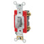 Double-Pole Self Grounding Toggle Switch, Industrial Grade, Back & Side Wired - Gray (120/277V)