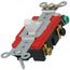 Double-Pole Self Grounding Toggle Switch, Industrial Grade, Back & Side Wired - White (120/277V)