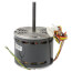 1/4 HP Blower Motor (240V), 12W66