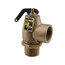 1" MNPT x 1" FNPT RVS13 643 LBS/HR Low Pressure Steam Safety Valve (8 psi)