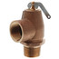 1" MNPT x 1" FNPT RVS13 643 LBS/HR Low Pressure Steam Safety Valve (15 psi)