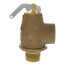3/4" MNPT x 3/4" FNPT RSV13 290 LBS/HR Low Pressure Steam Safety Relief Valve (5 psi)