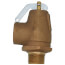 3/4" MNPT x 3/4" FNPT RVS13 475 LBS/HR Low Pressure Steam Safety Relief Valve (8 psi)i
