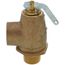 3/4" MNPT x 3/4" FNPT RVS13 475 LBS/HR Low Pressure Steam Safety Valve (15 psi)