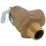 3/4" MNPT x 3/4" FNPT RVS13 475 LBS/HR Low Pressure Steam Safety Valve (15 psi)