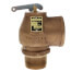 1-1/4" MNPT x 1-1/2" FNPT RVS13 1200 LBS/HR Low Press Steam Safety Relief Valve (5 psi)