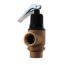 3/4" F82 Medium Capacity Pressure Relief Valve (125 PSI)