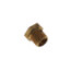 1/8" NPT Dust Cap