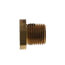 1/8" NPT Dust Cap