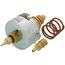Repair Top and Insert for NPT and Solder Body (2.3/2.6 Cv)