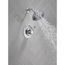 Esato 14 Series Shower Trim w/ Rough In Chrome, 142897